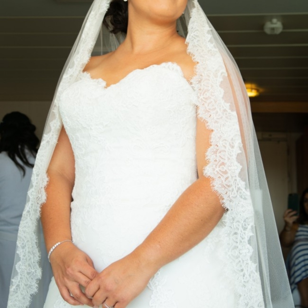 Pronovias White Faciel One Ivory Lace - Picture 3 of 7